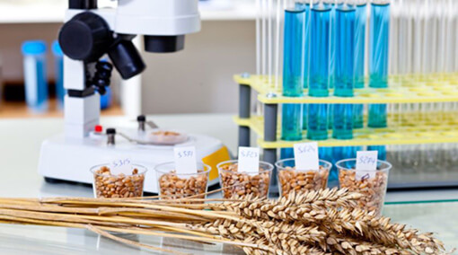 Food Quality Testing Training