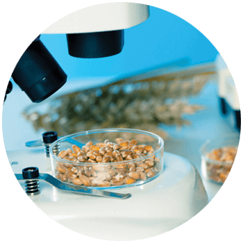 Food Safety Training